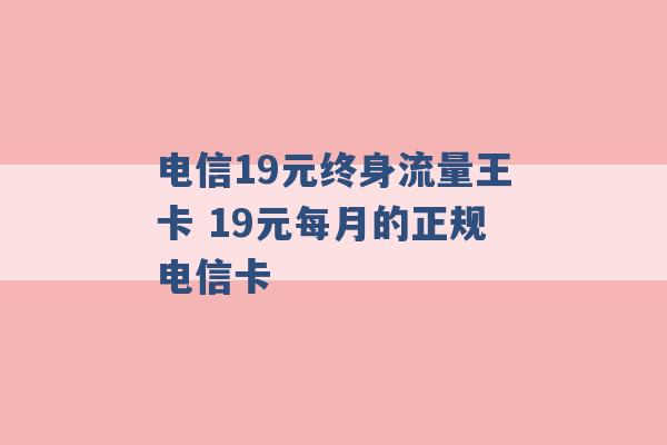 电信19元终身流量王卡 19元每月的正规电信卡 -第1张图片-电信联通移动号卡网