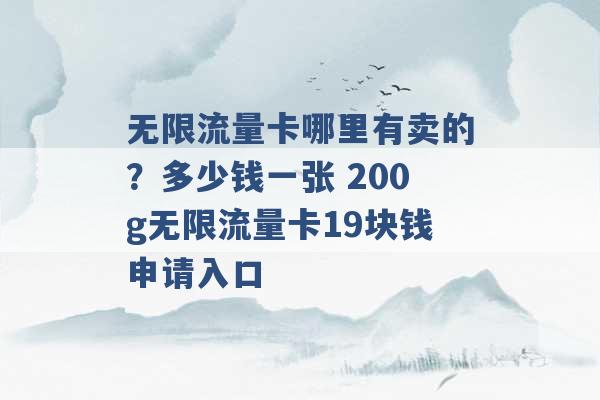 无限流量卡哪里有卖的？多少钱一张 200g无限流量卡19块钱申请入口 -第1张图片-电信联通移动号卡网