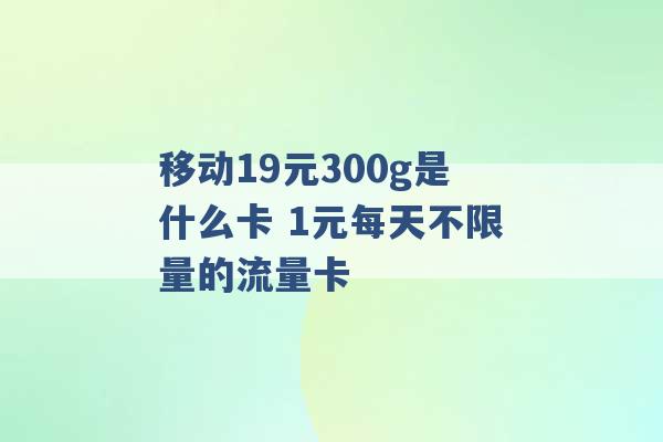 移动19元300g是什么卡 1元每天不限量的流量卡 -第1张图片-电信联通移动号卡网