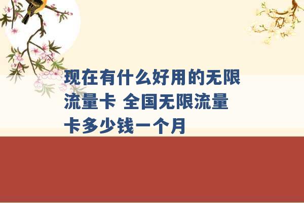 现在有什么好用的无限流量卡 全国无限流量卡多少钱一个月 -第1张图片-电信联通移动号卡网