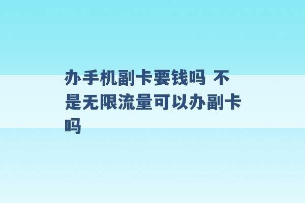 办手机副卡要钱吗 不是无限流量可以办副卡吗 -第1张图片-电信联通移动号卡网