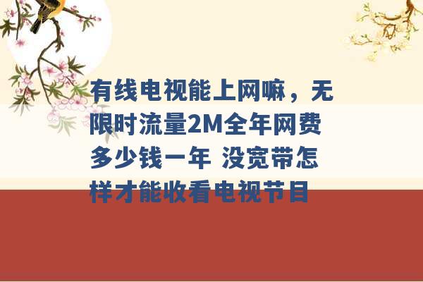 有线电视能上网嘛，无限时流量2M全年网费多少钱一年 没宽带怎样才能收看电视节目 -第1张图片-电信联通移动号卡网