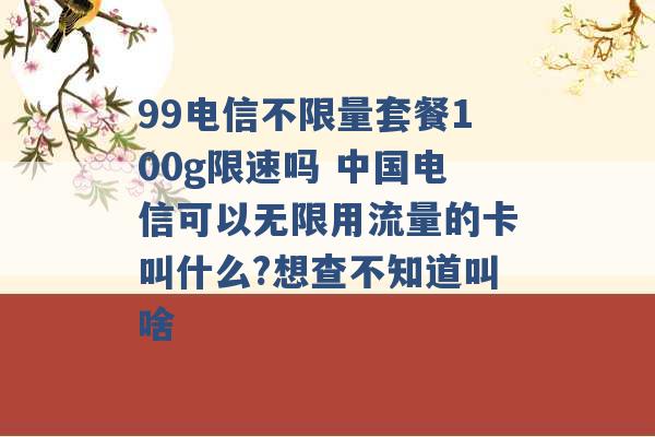 99电信不限量套餐100g限速吗 中国电信可以无限用流量的卡叫什么?想查不知道叫啥 -第1张图片-电信联通移动号卡网