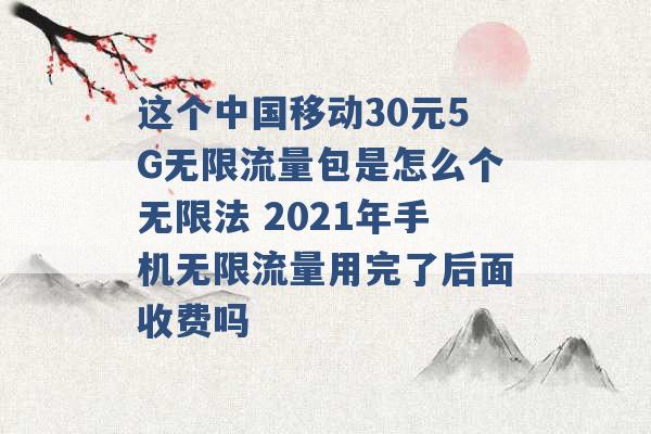 这个中国移动30元5G无限流量包是怎么个无限法 2021年手机无限流量用完了后面收费吗 -第1张图片-电信联通移动号卡网