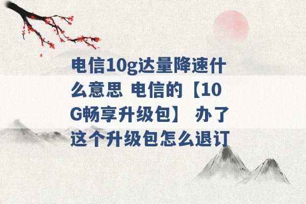 电信10g达量降速什么意思 电信的【10G畅享升级包】 办了这个升级包怎么退订 -第1张图片-电信联通移动号卡网