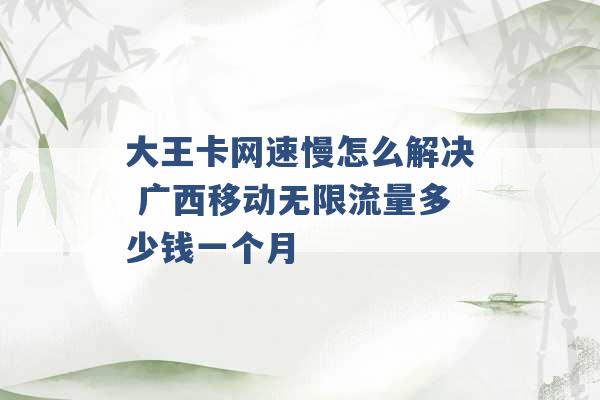 大王卡网速慢怎么解决 广西移动无限流量多少钱一个月 -第1张图片-电信联通移动号卡网