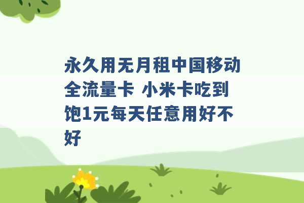 永久用无月租中国移动全流量卡 小米卡吃到饱1元每天任意用好不好 -第1张图片-电信联通移动号卡网