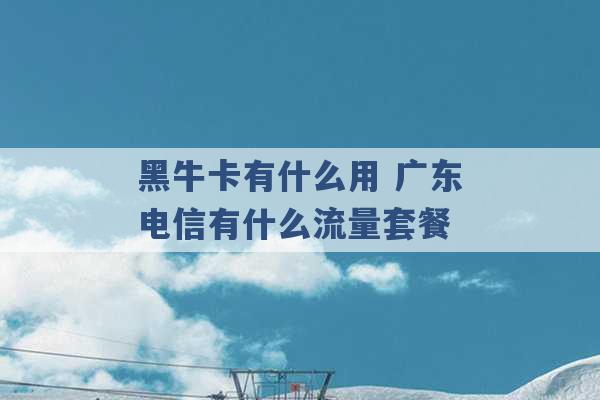 黑牛卡有什么用 广东电信有什么流量套餐 -第1张图片-电信联通移动号卡网