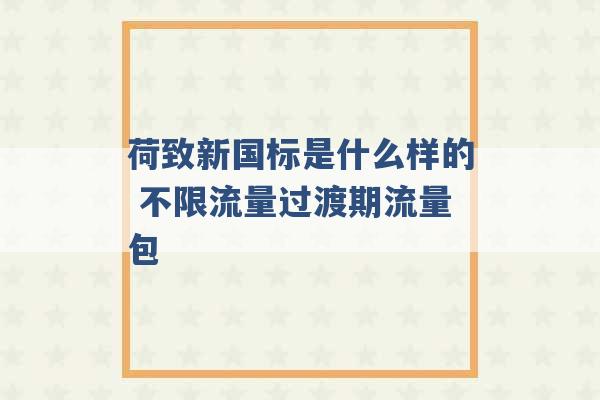 荷致新国标是什么样的 不限流量过渡期流量包 -第1张图片-电信联通移动号卡网