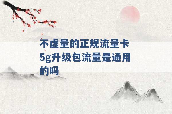 不虚量的正规流量卡 5g升级包流量是通用的吗 -第1张图片-电信联通移动号卡网