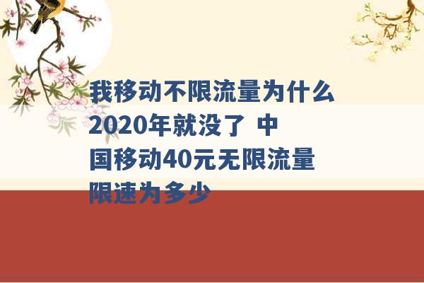 我移动不限流量为什么2020年就没了 中国移动40元无限流量限速为多少 -第1张图片-电信联通移动号卡网