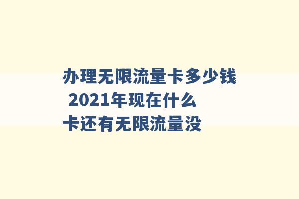 办理无限流量卡多少钱 2021年现在什么卡还有无限流量没 -第1张图片-电信联通移动号卡网