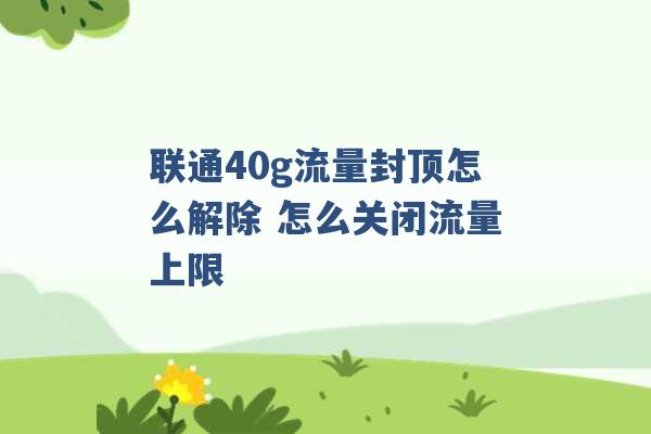 联通40g流量封顶怎么解除 怎么关闭流量上限 -第1张图片-电信联通移动号卡网