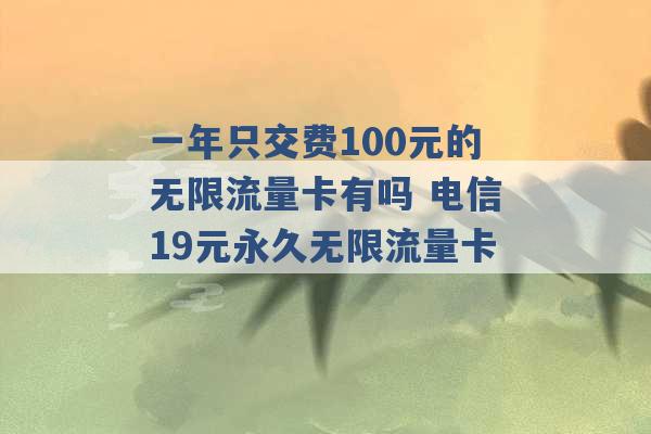 一年只交费100元的无限流量卡有吗 电信19元永久无限流量卡 -第1张图片-电信联通移动号卡网