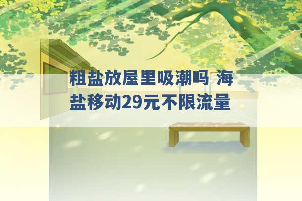 粗盐放屋里吸潮吗 海盐移动29元不限流量 -第1张图片-电信联通移动号卡网