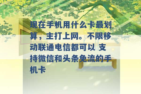 现在手机用什么卡最划算，主打上网。不限移动联通电信都可以 支持微信和头条免流的手机卡 -第1张图片-电信联通移动号卡网