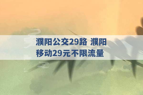 濮阳公交29路 濮阳移动29元不限流量 -第1张图片-电信联通移动号卡网