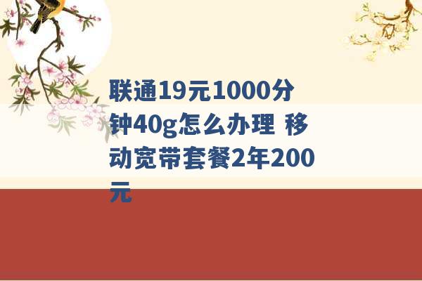 联通19元1000分钟40g怎么办理 移动宽带套餐2年200元 -第1张图片-电信联通移动号卡网