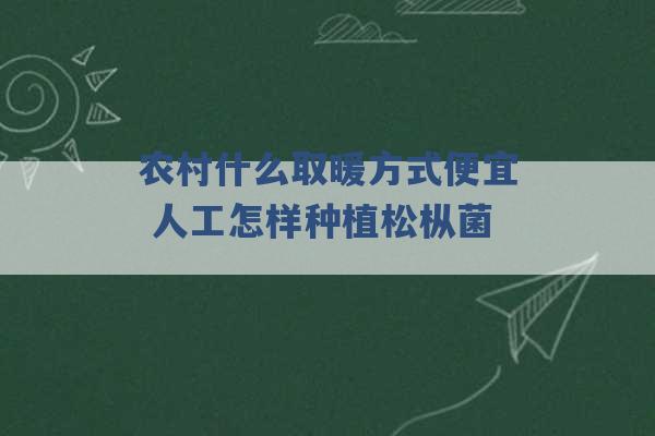 农村什么取暖方式便宜 人工怎样种植松枞菌 -第1张图片-电信联通移动号卡网