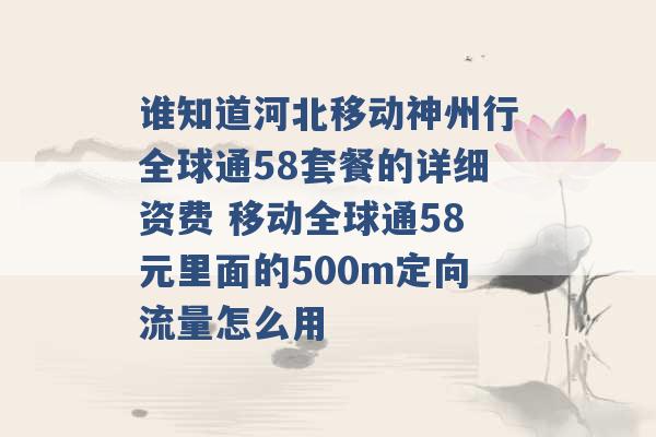 谁知道河北移动神州行全球通58套餐的详细资费 移动全球通58元里面的500m定向流量怎么用 -第1张图片-电信联通移动号卡网