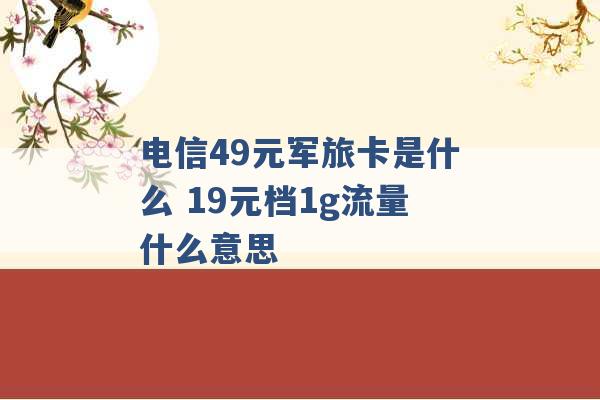 电信49元军旅卡是什么 19元档1g流量什么意思 -第1张图片-电信联通移动号卡网