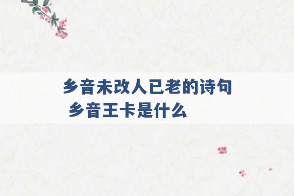 乡音未改人已老的诗句 乡音王卡是什么 -第1张图片-电信联通移动号卡网