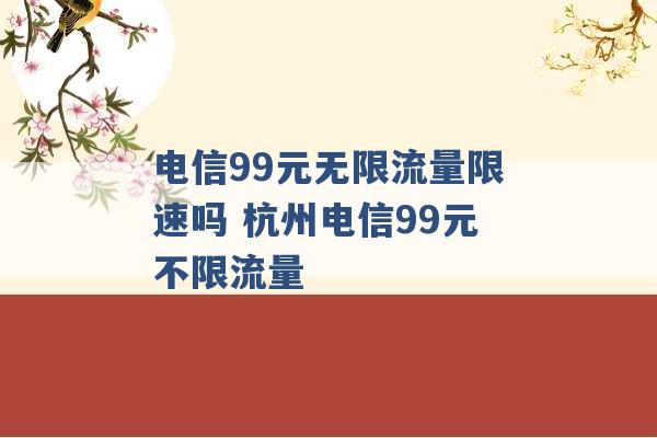 电信99元无限流量限速吗 杭州电信99元不限流量 -第1张图片-电信联通移动号卡网