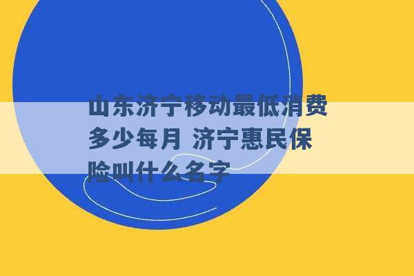 山东济宁移动最低消费多少每月 济宁惠民保险叫什么名字 -第1张图片-电信联通移动号卡网