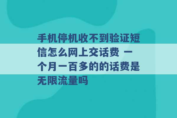 手机停机收不到验证短信怎么网上交话费 一个月一百多的的话费是无限流量吗 -第1张图片-电信联通移动号卡网