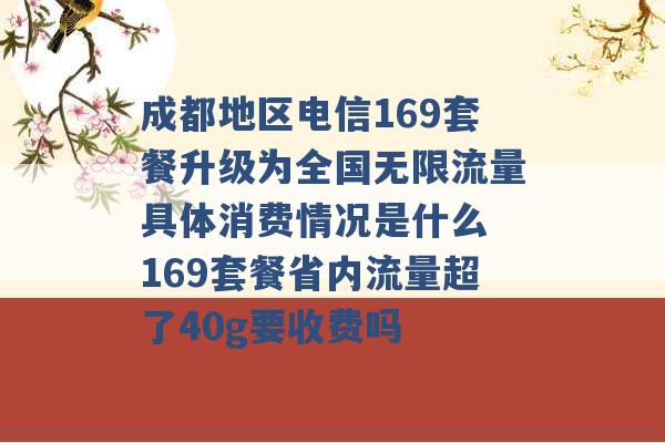 成都地区电信169套餐升级为全国无限流量具体消费情况是什么 169套餐省内流量超了40g要收费吗 -第1张图片-电信联通移动号卡网