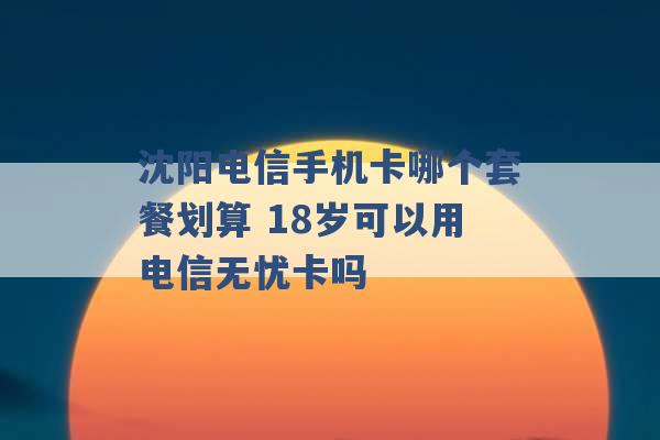 沈阳电信手机卡哪个套餐划算 18岁可以用电信无忧卡吗 -第1张图片-电信联通移动号卡网