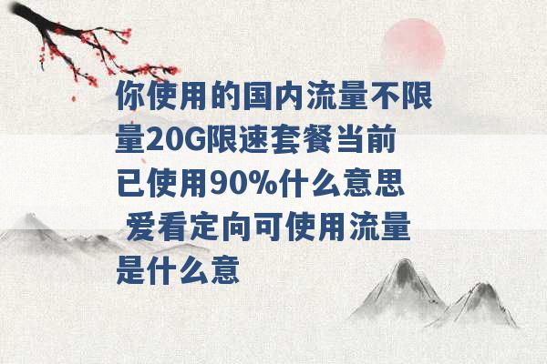 你使用的国内流量不限量20G限速套餐当前已使用90%什么意思 爱看定向可使用流量是什么意 -第1张图片-电信联通移动号卡网