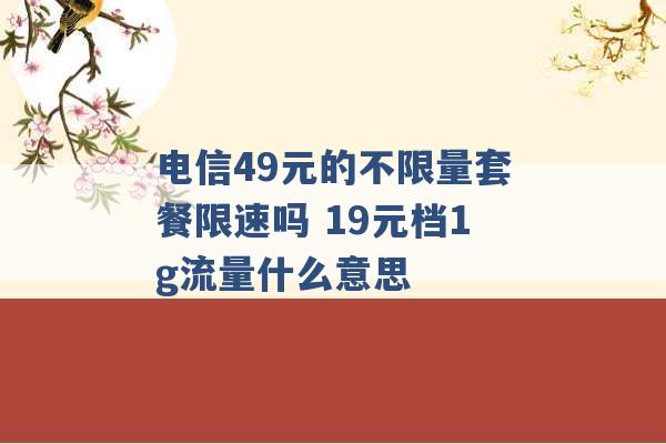 电信49元的不限量套餐限速吗 19元档1g流量什么意思 -第1张图片-电信联通移动号卡网