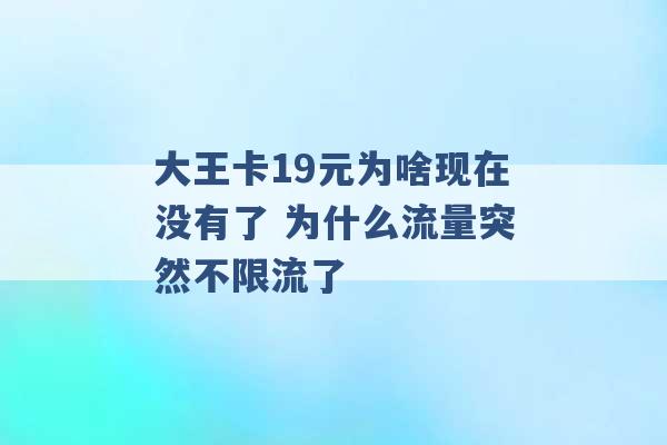 大王卡19元为啥现在没有了 为什么流量突然不限流了 -第1张图片-电信联通移动号卡网