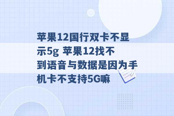 苹果12国行双卡不显示5g 苹果12找不到语音与数据是因为手机卡不支持5G嘛 -第1张图片-电信联通移动号卡网