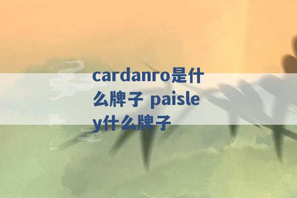 cardanro是什么牌子 paisley什么牌子 -第1张图片-电信联通移动号卡网