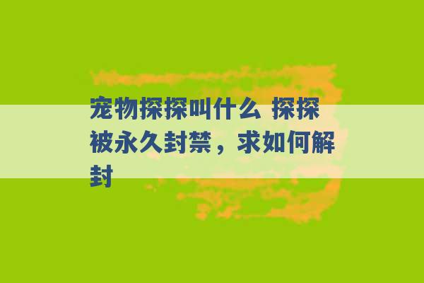 宠物探探叫什么 探探被永久封禁，求如何解封 -第1张图片-电信联通移动号卡网