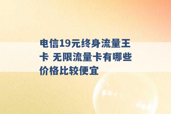 电信19元终身流量王卡 无限流量卡有哪些价格比较便宜 -第1张图片-电信联通移动号卡网