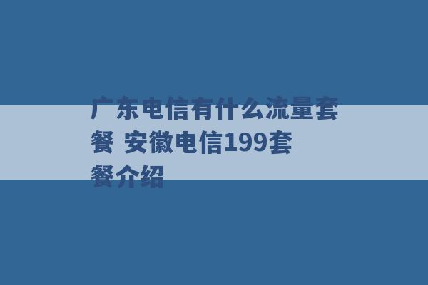 广东电信有什么流量套餐 安徽电信199套餐介绍 -第1张图片-电信联通移动号卡网