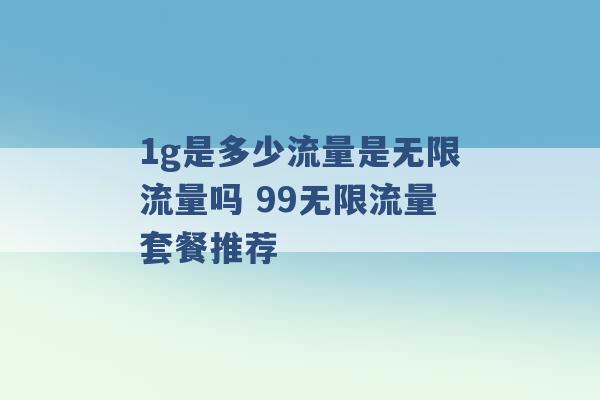 1g是多少流量是无限流量吗 99无限流量套餐推荐 -第1张图片-电信联通移动号卡网