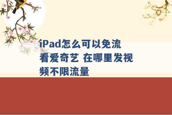 iPad怎么可以免流看爱奇艺 在哪里发视频不限流量 -第1张图片-电信联通移动号卡网