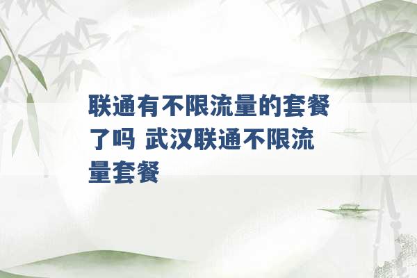 联通有不限流量的套餐了吗 武汉联通不限流量套餐 -第1张图片-电信联通移动号卡网