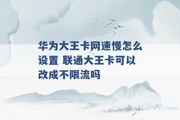 华为大王卡网速慢怎么设置 联通大王卡可以改成不限流吗 -第1张图片-电信联通移动号卡网