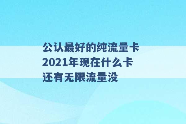 公认最好的纯流量卡 2021年现在什么卡还有无限流量没 -第1张图片-电信联通移动号卡网