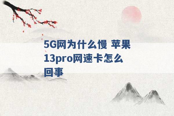 5G网为什么慢 苹果13pro网速卡怎么回事 -第1张图片-电信联通移动号卡网