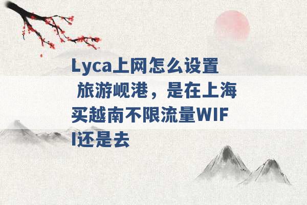 Lyca上网怎么设置 旅游岘港，是在上海买越南不限流量WIFI还是去 -第1张图片-电信联通移动号卡网