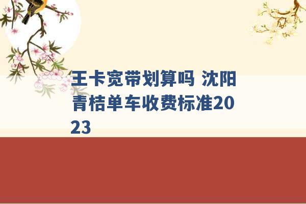 王卡宽带划算吗 沈阳青桔单车收费标准2023 -第1张图片-电信联通移动号卡网