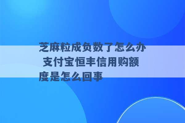 芝麻粒成负数了怎么办 支付宝恒丰信用购额度是怎么回事 -第1张图片-电信联通移动号卡网