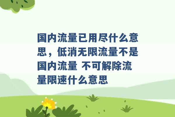 国内流量已用尽什么意思，低消无限流量不是国内流量 不可解除流量限速什么意思 -第1张图片-电信联通移动号卡网