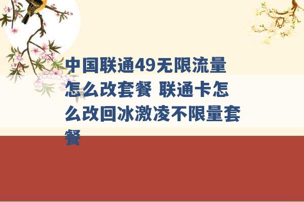 中国联通49无限流量怎么改套餐 联通卡怎么改回冰激凌不限量套餐 -第1张图片-电信联通移动号卡网